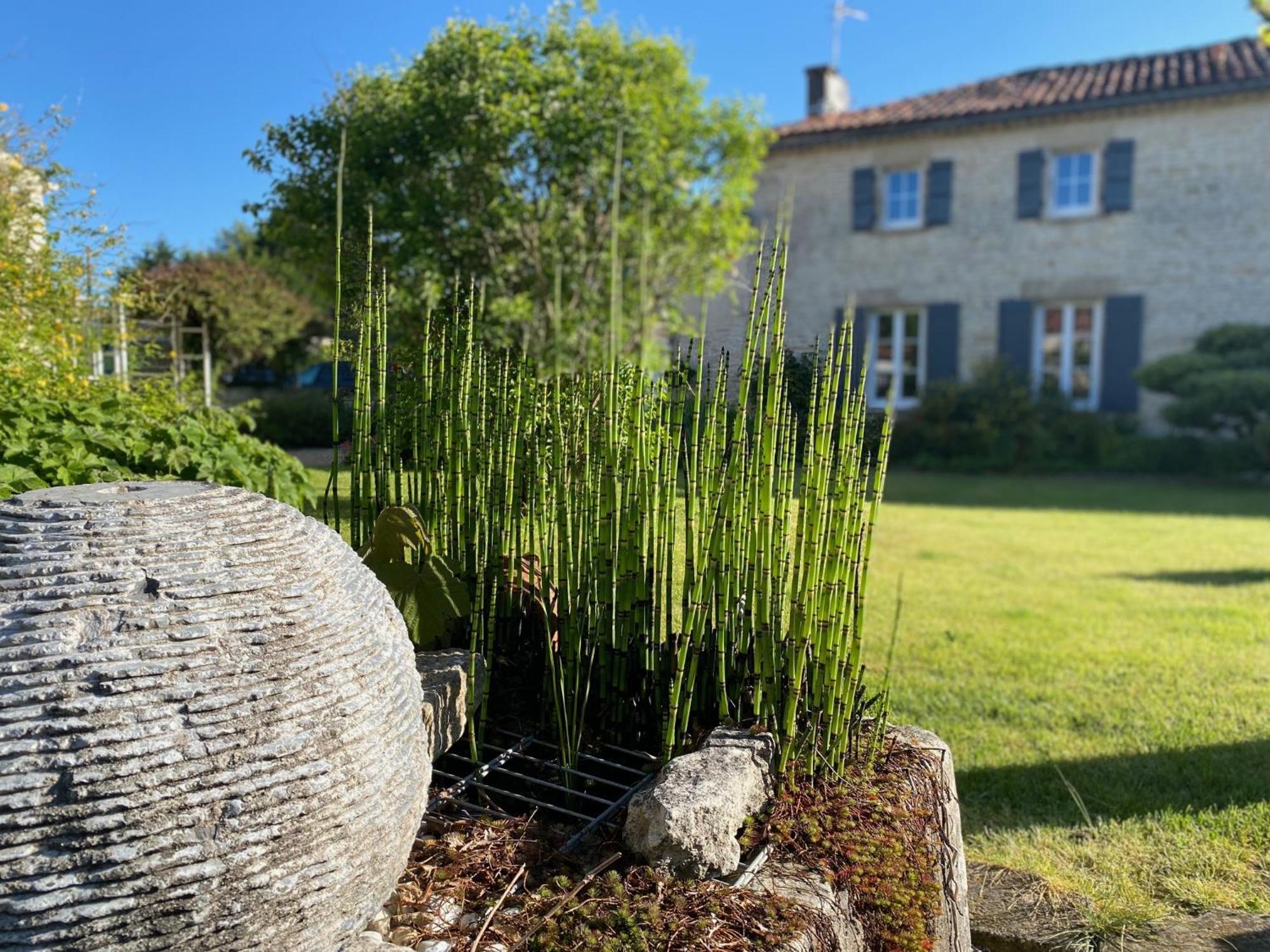 Aux Agapanthes, Chambres D'Hotes Charentaises De Charme Avec Piscine Aumagne Extérieur photo
