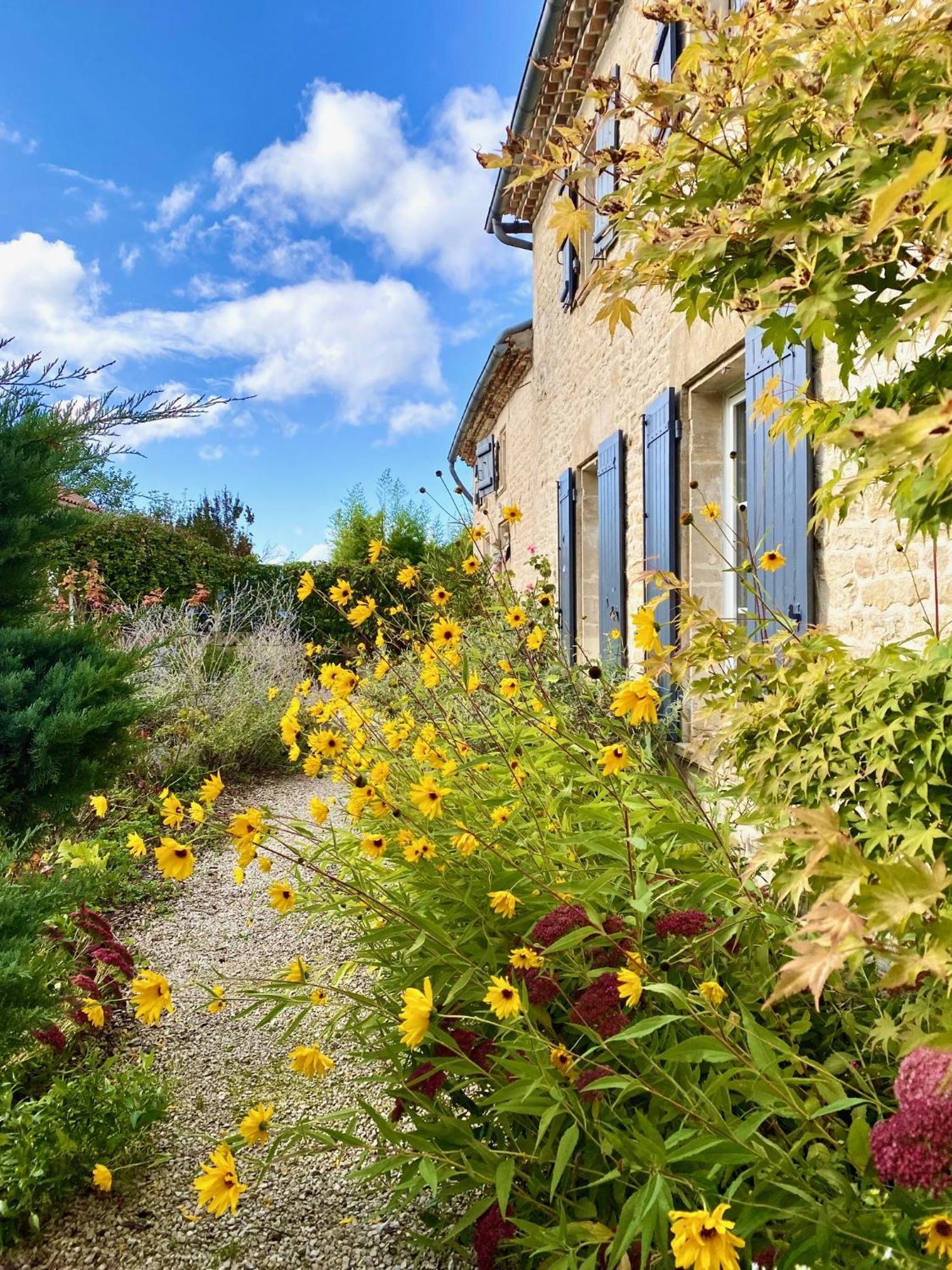 Aux Agapanthes, Chambres D'Hotes Charentaises De Charme Avec Piscine Aumagne Extérieur photo